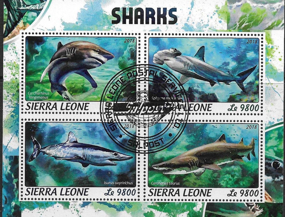 Thematic M/S "Sharks" F/U
