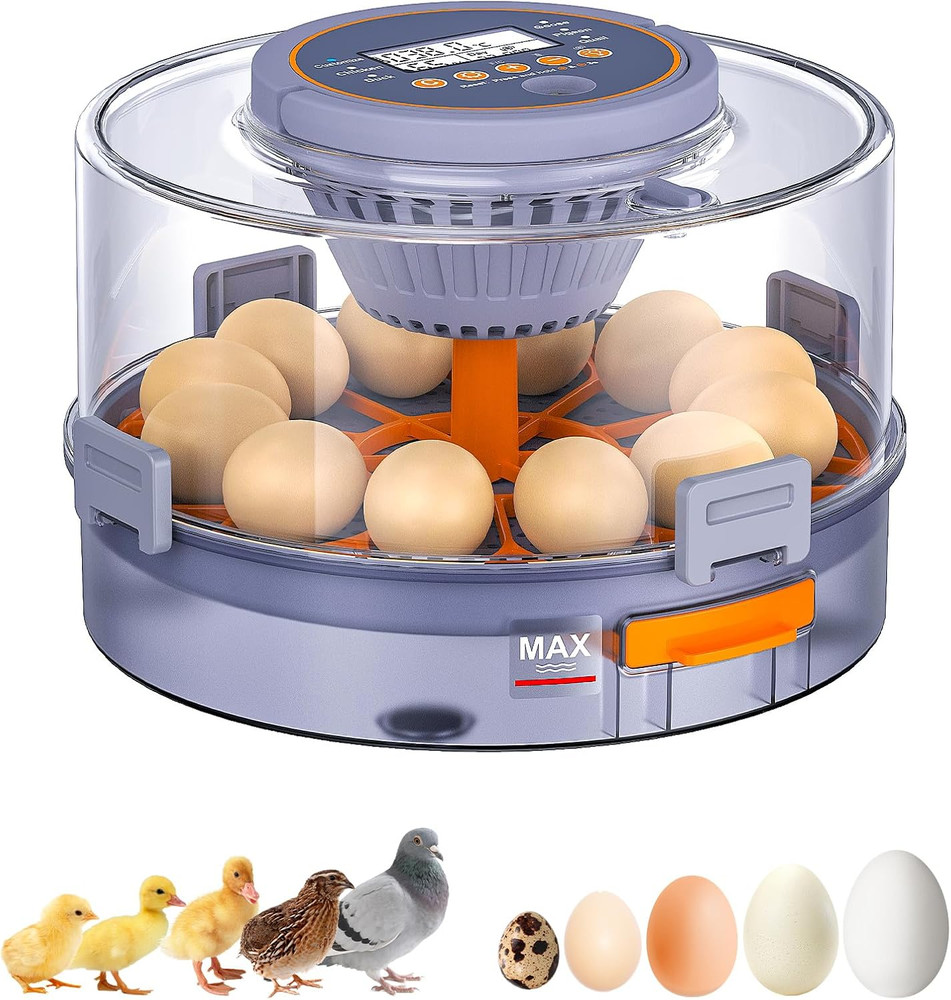 Incubators for Hatching Eggs, 12 Chicken Incubator with Automatic Egg Turning an