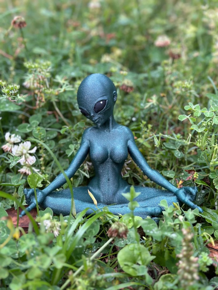 Nirvana Meditating alien