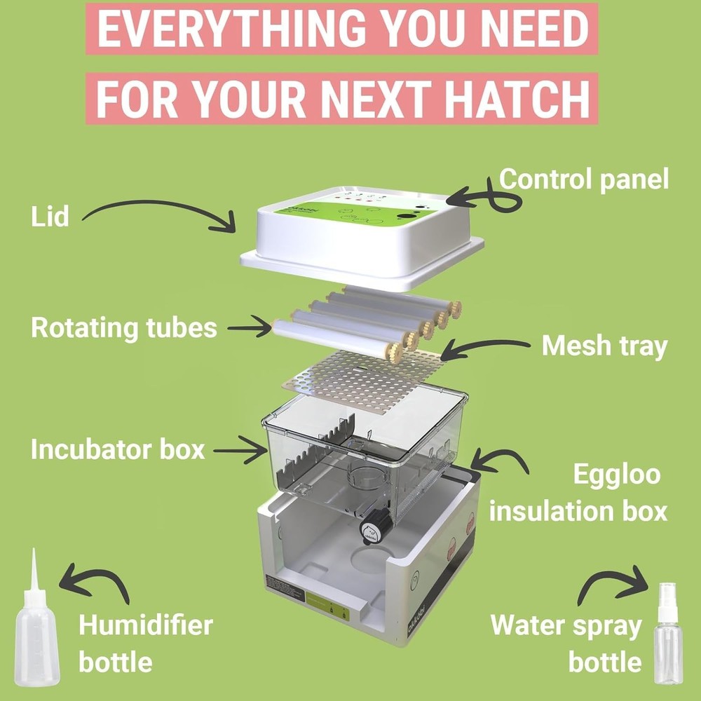 Incubators for Hatching Eggs - 12 Eggs - Ideal All Ages | Egg Incubator with ...