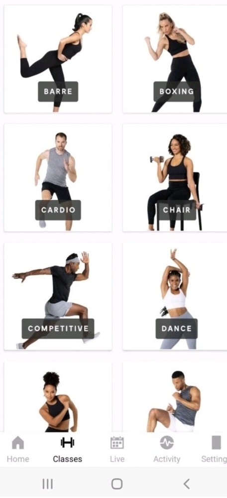 The Mirror Home Work Out System