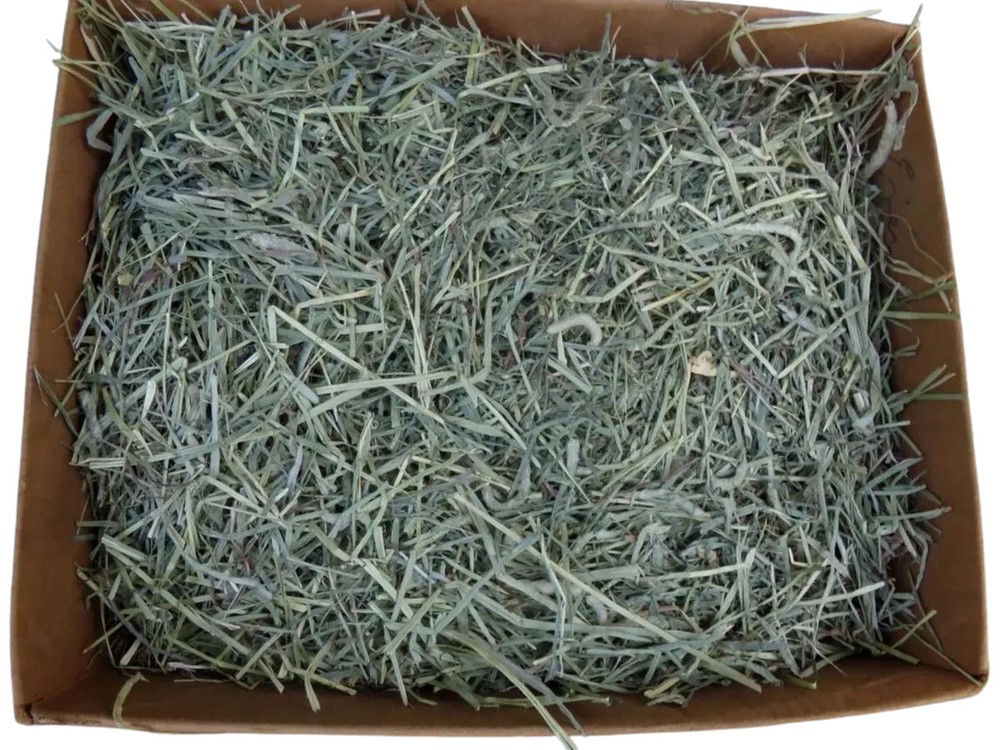 Timothy Hay In A Box 2 lbs.
