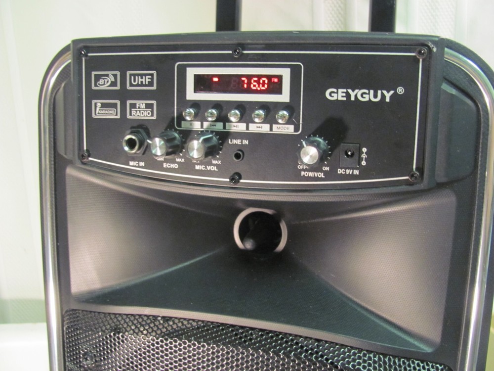 GEYGUY GTSK8-2 Bluetooth PA Karaoke Speaker Machine