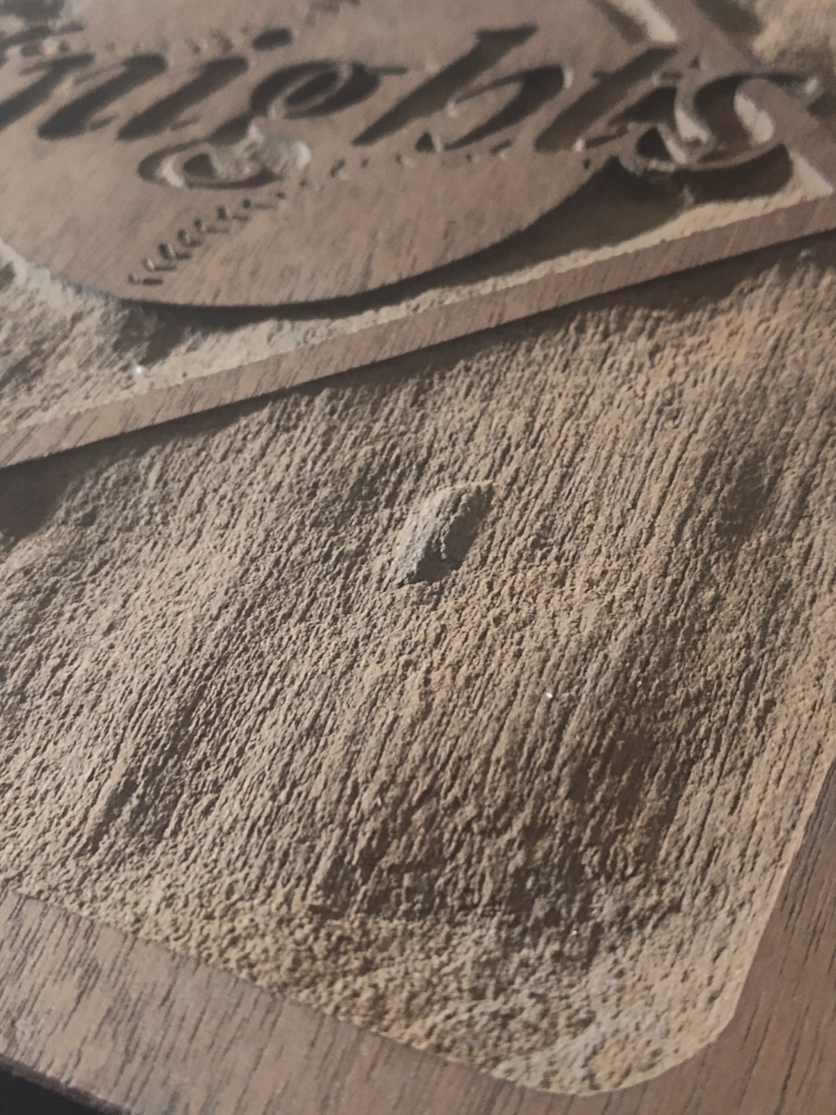 Vtg Charlotte Knights Wooden Plaque Baseball Logo From Roman Gabriel Estate