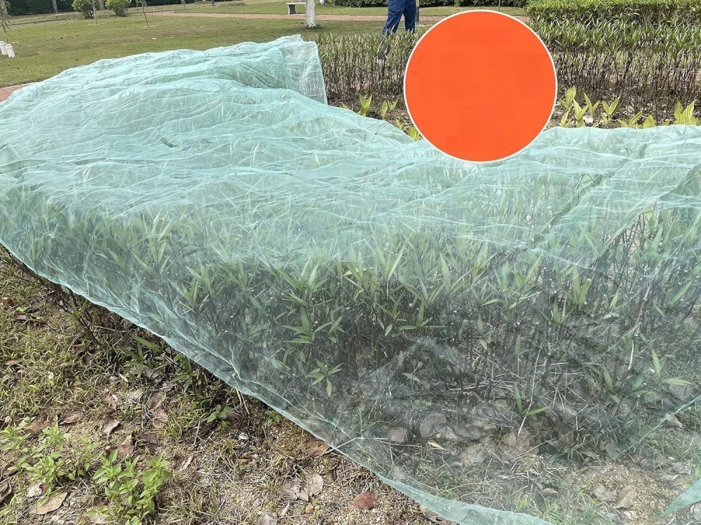 10 x 33FT Mosquito Garden Bug Insect Netting Barrier Bird Net Plant Protect Mesh