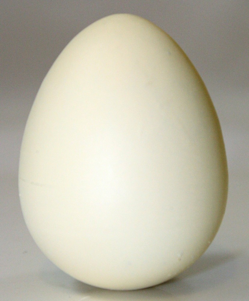 GeoCentral Hatch ems Penguin Egg