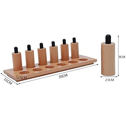 Pressure Cylinders Elementary Montessori Materials for 3 Year Old