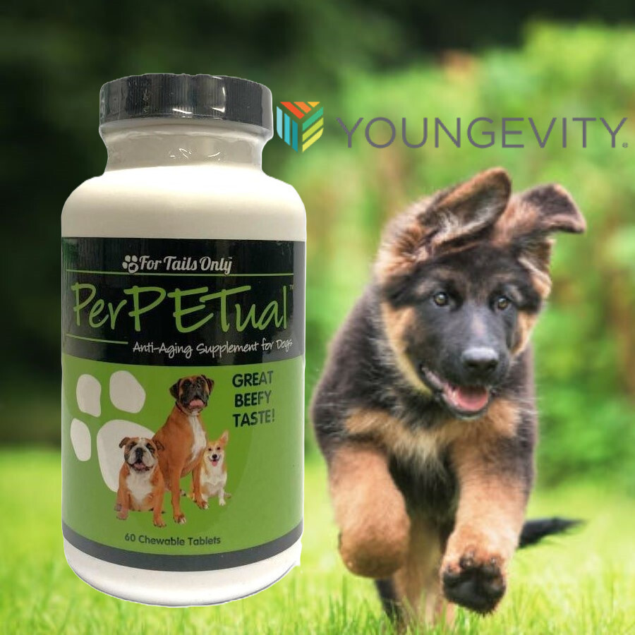 Youngevity Dr. Wallach - For Tails Only PerPETual™ (60 Tablets)