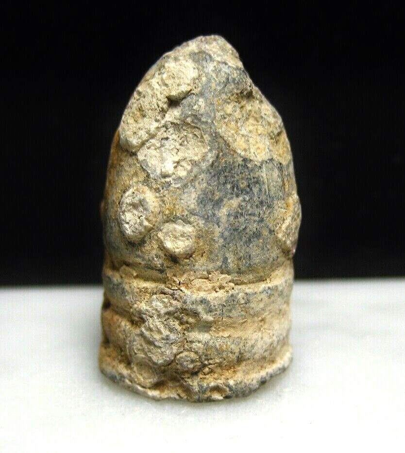 Battle of Cold Harbor VA Civil War Relic .577 Caliber Bullet Dug by Bill Gavin