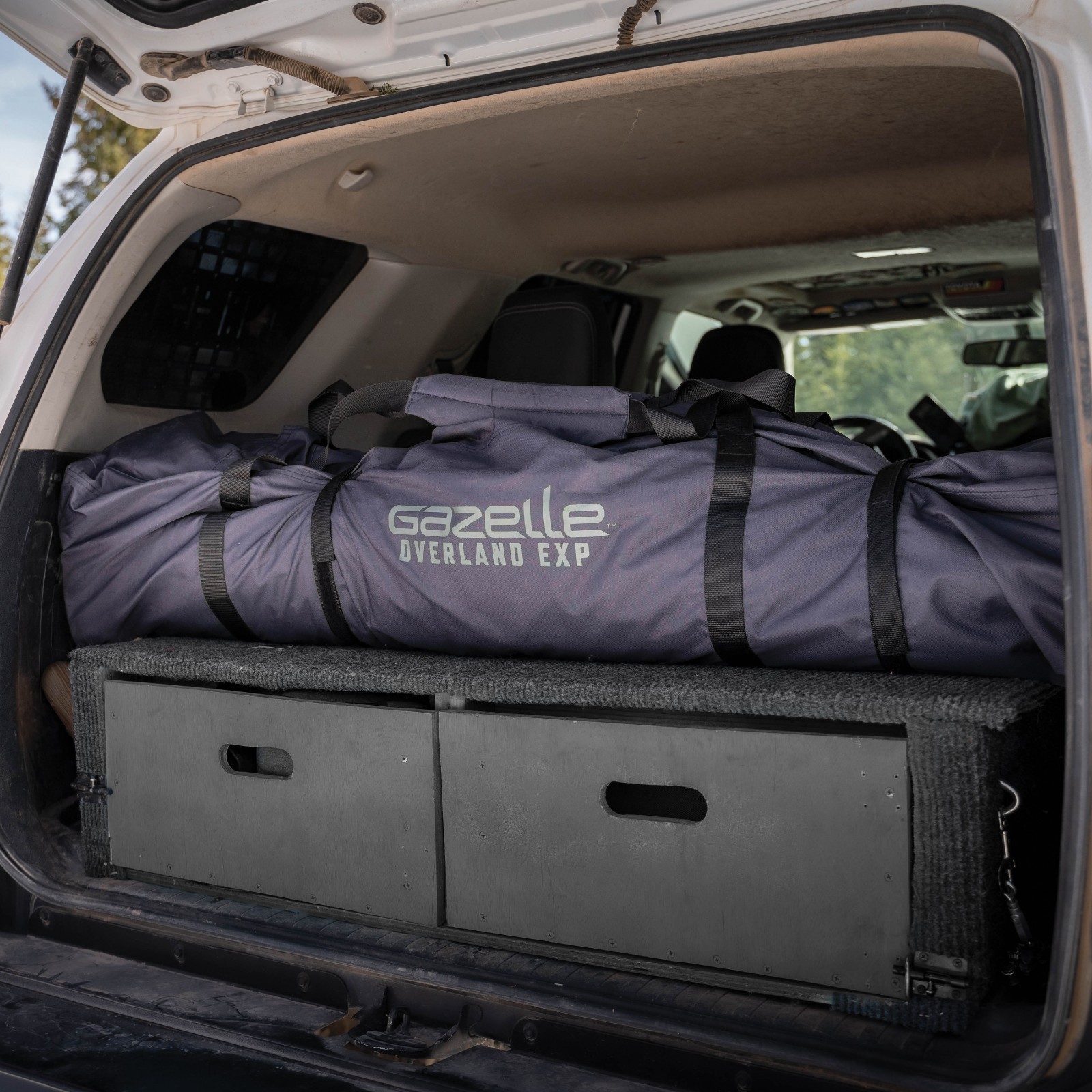 Gazelle Tents™ T4 Overland EXP Hub Tent, 4-Person, Agave Green