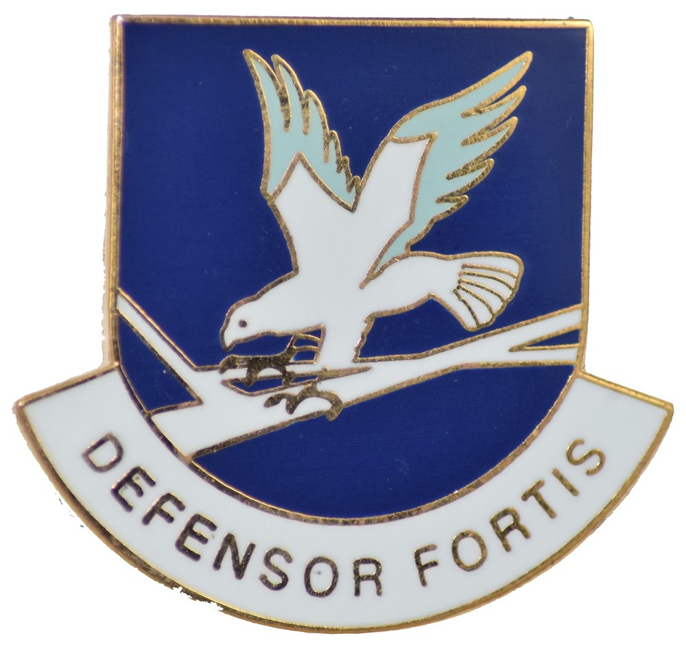 AIR FORCE SECURITY HAT PIN