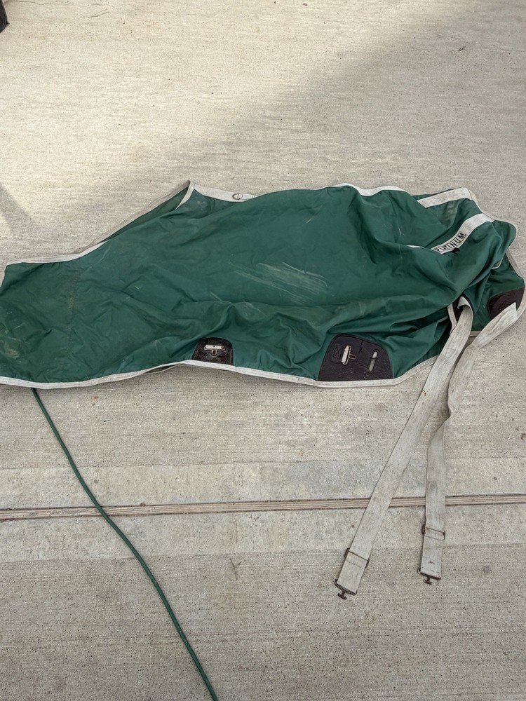 68” Lightweight Stable Sheet Green Platinum