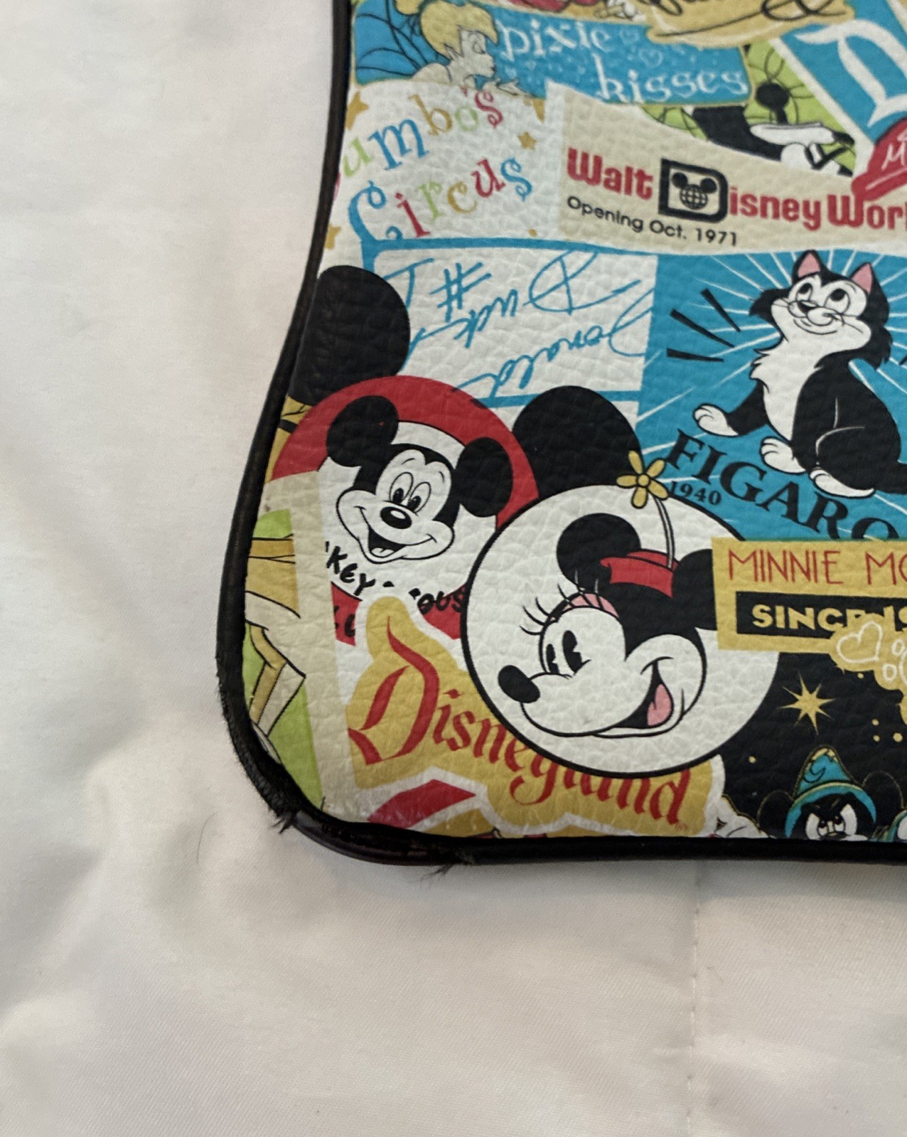 Disney Parks Collage Crossbody Bag~9.5x9”adjust. Strap~clean needs a little Love