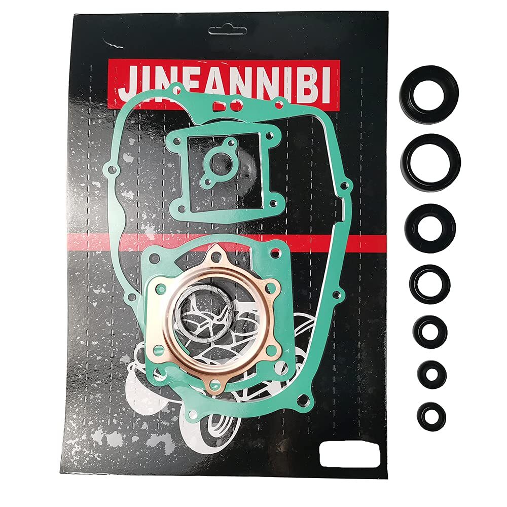 Engine Head Gasket Kit & Oil Seals for Yamaha Blaster 200 YFS200 1988-2006