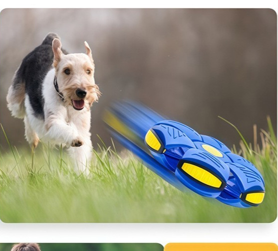 Magic Bouncing Ball, Freely Switchable Magic Meta Ball Toy with Lights