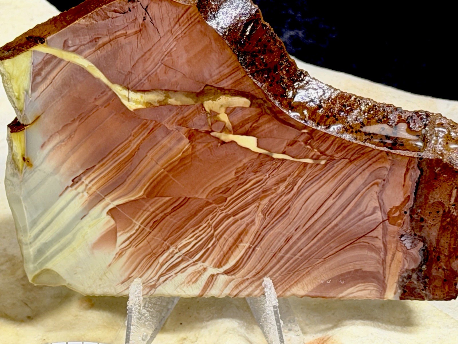 Beautiful Willow Creek Jasper Slab Set, Lot#191