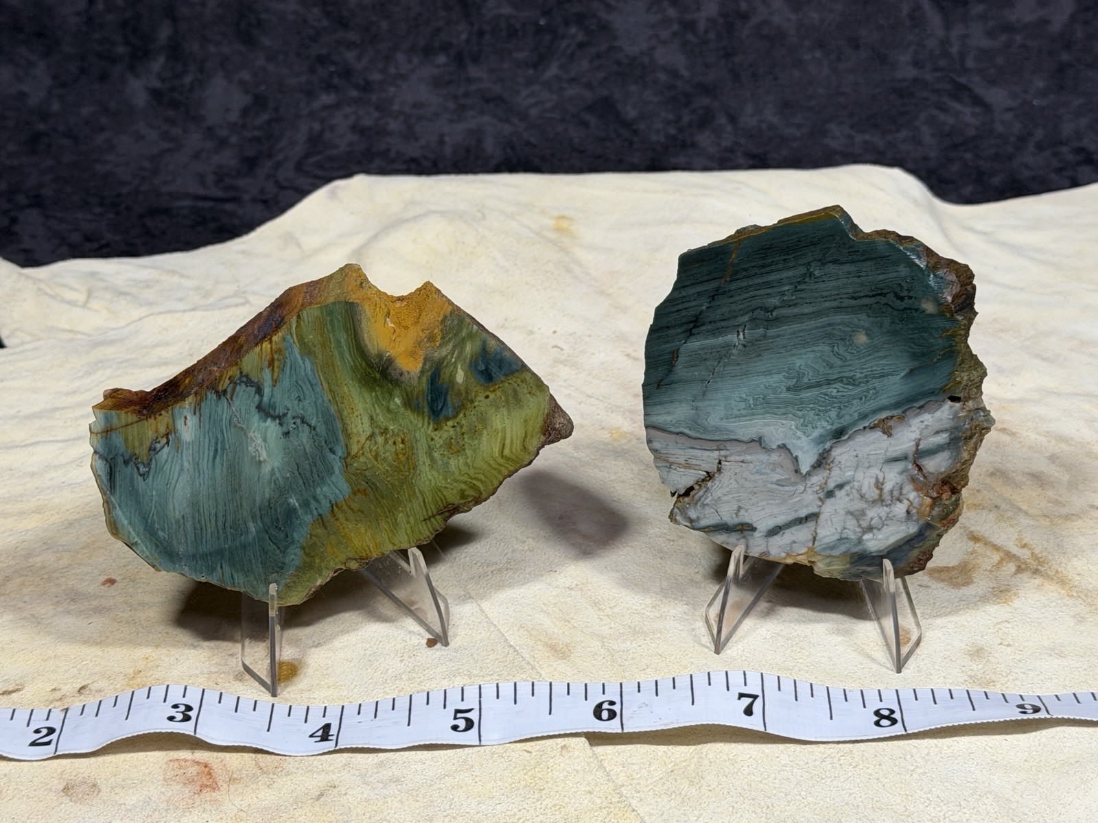 A+ Larsonite (Gary Green,Freedom) Jasper Slab Set, Lot #270