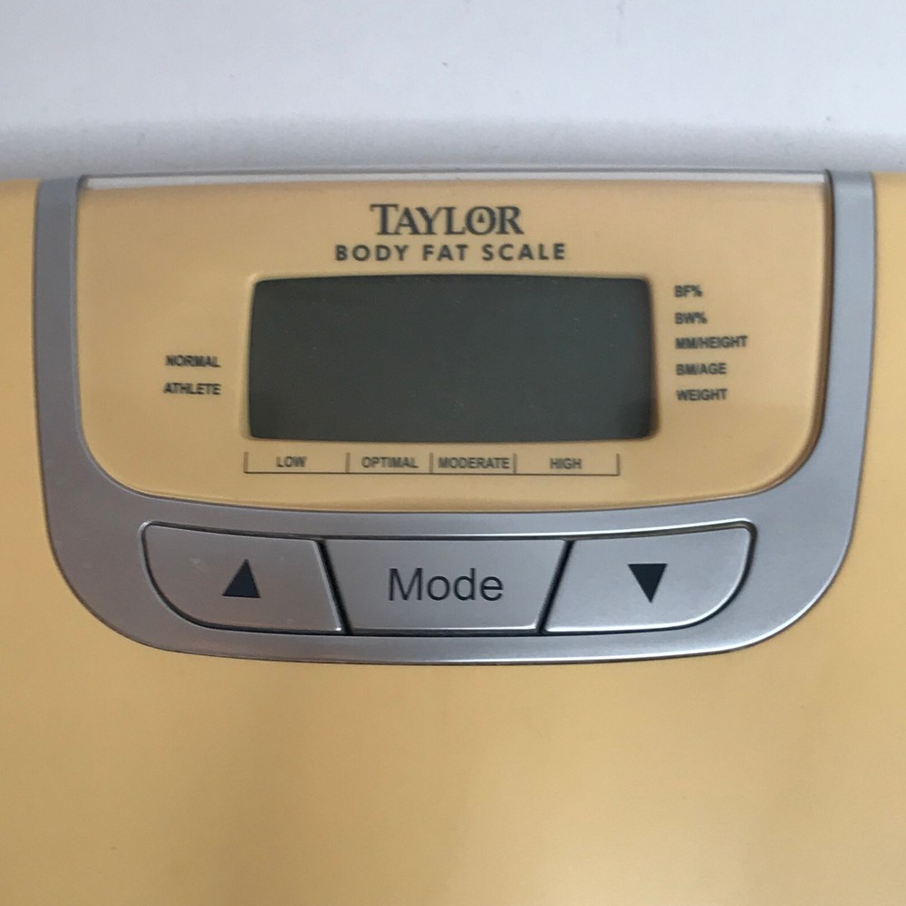 Taylor Body Fat Scale 160 kg