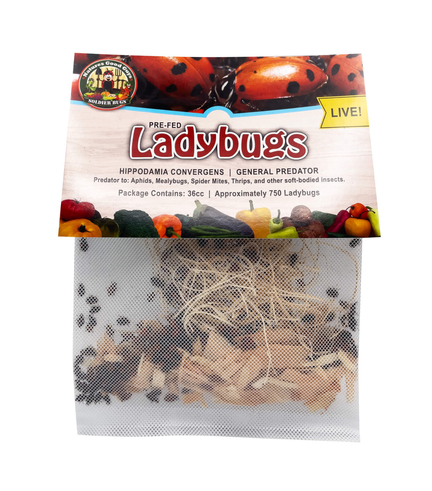 NaturesGoodGuys - Live Ladybugs - General predators