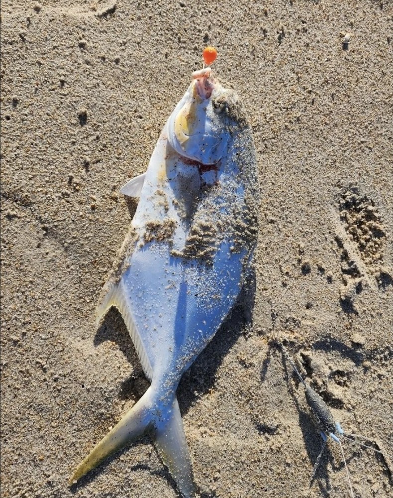 Orange/Orange Pompano Rig