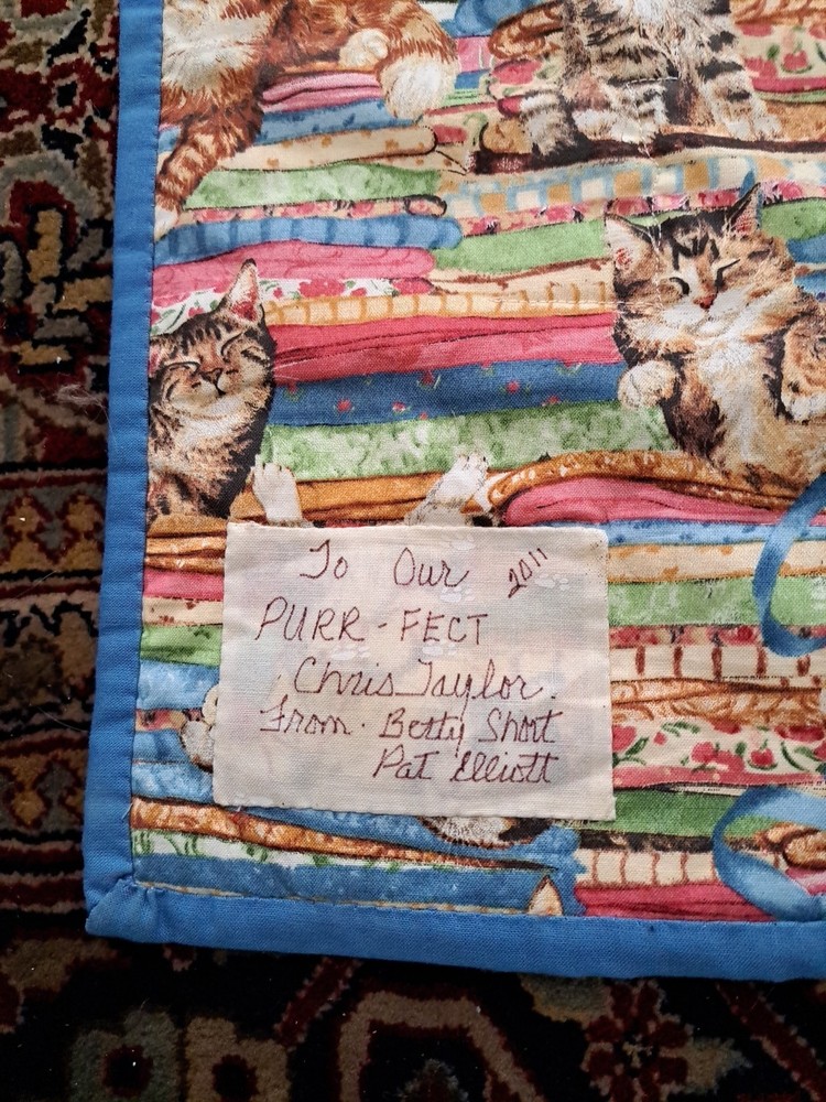 Handmade Patchwork Applique Cat Scenes Wall Hanging Quilt