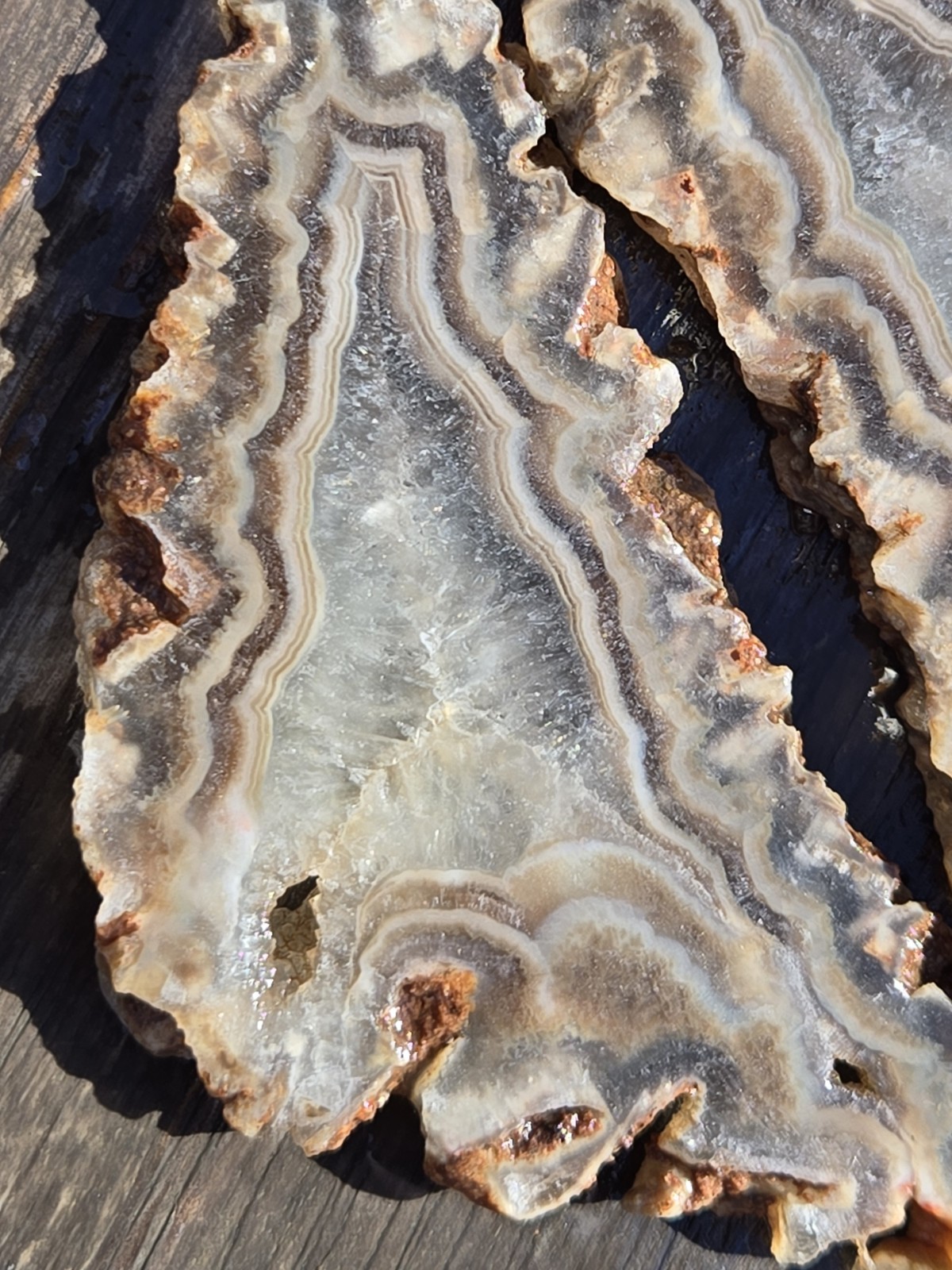 Turkish Agate Slabs Slices From One Stone Matching Lapidary Unique