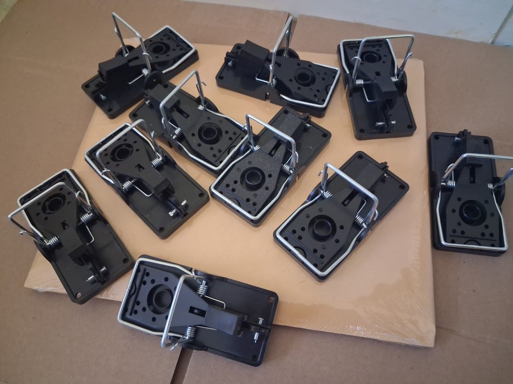 mouse trap 10 Pack