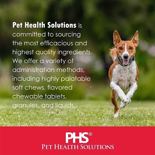 Proflora Probiotic Soft Chews for Dogs (60 Count)