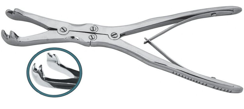 12" Equine Dental Four Prong Compound Cap Forceps