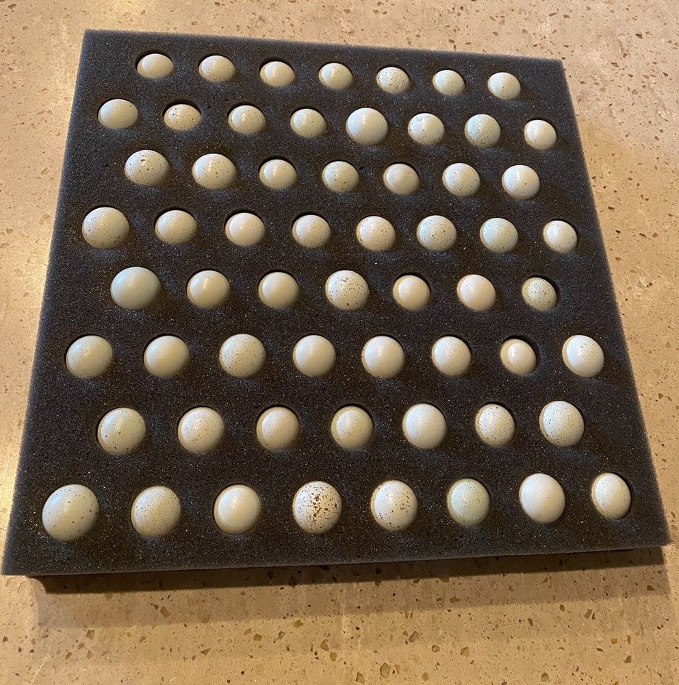 60- Celadon Quail Hatching Eggs - 100% True Blue Coturnix 🪺