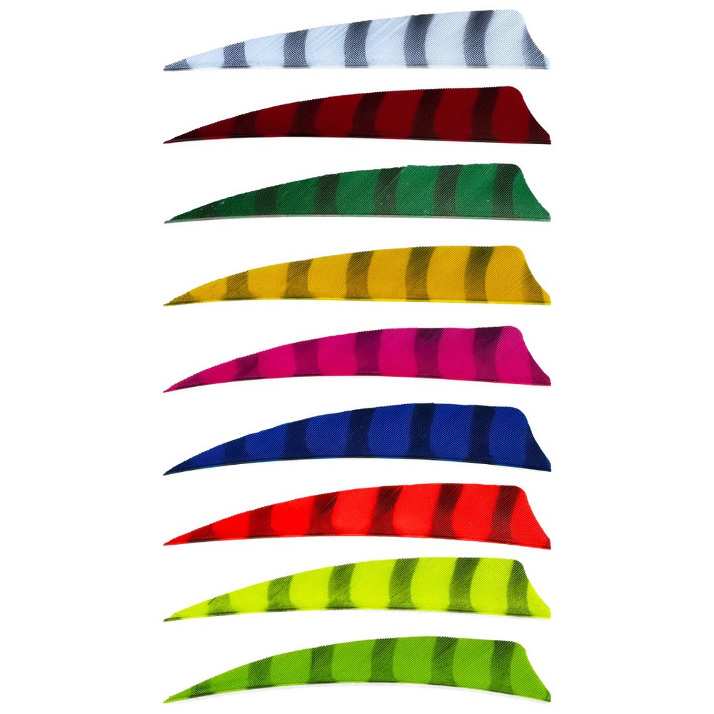 King Feathers - Shield Cut - 4" - Barred Feathers