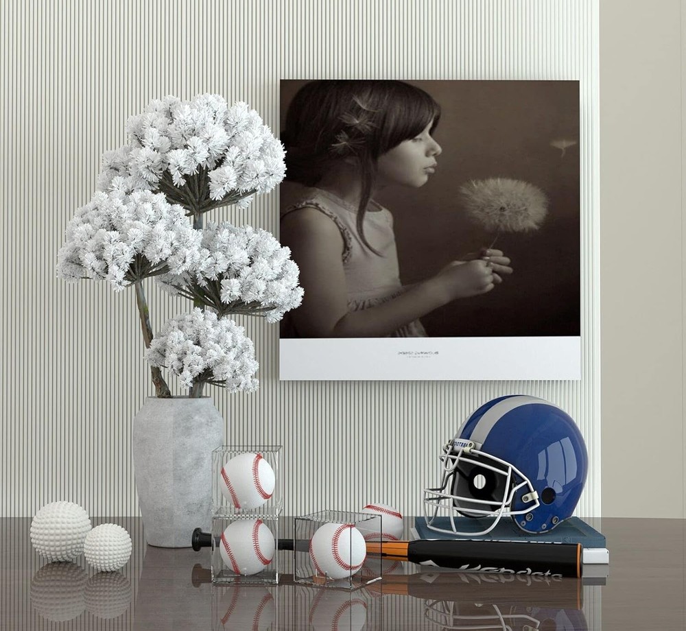 2 Pack Baseball Display Case UV Protected Acrylic TWO PACK, Clear-2