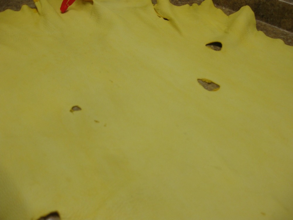 Top Grain Deer Leather #0013859 Row YY