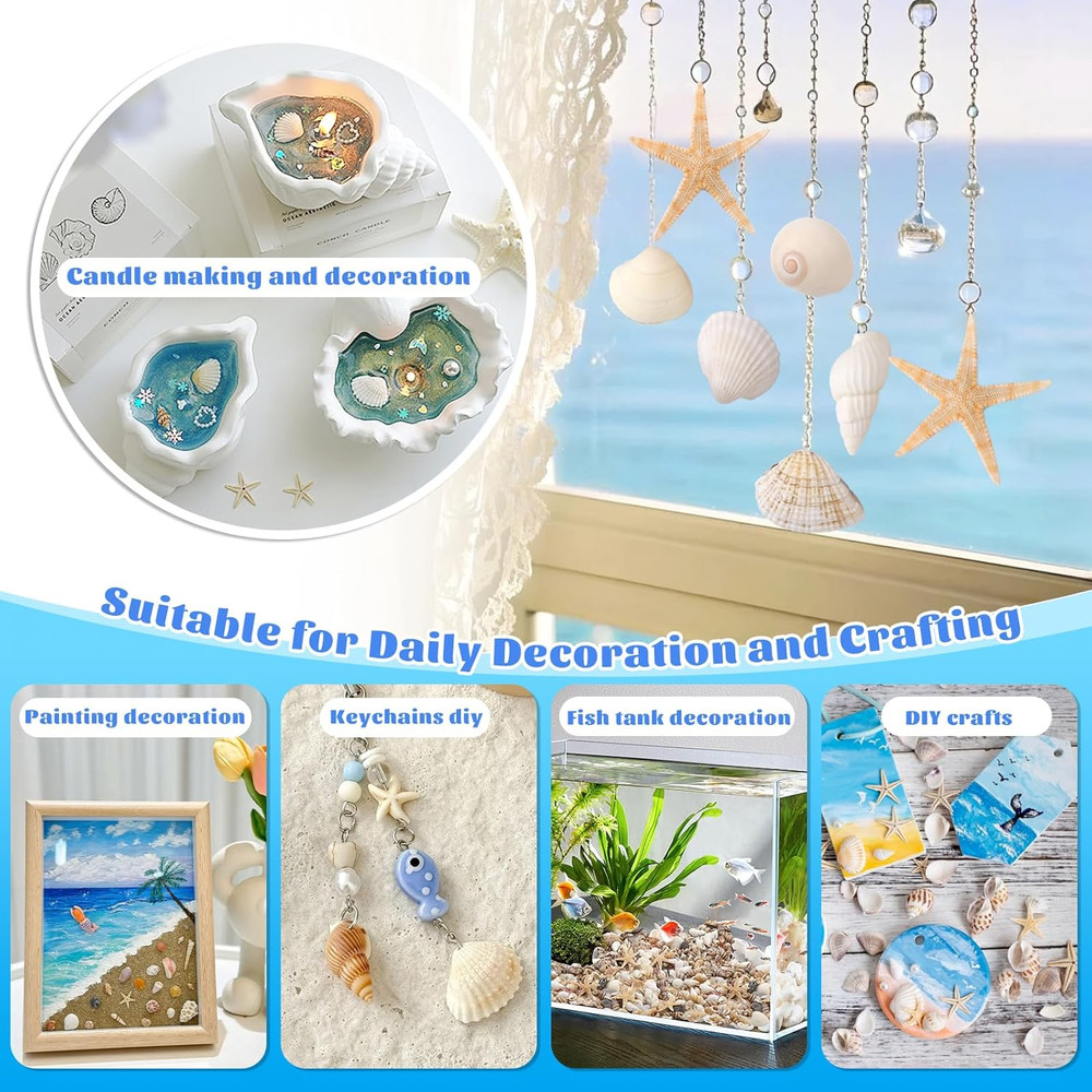 1200 Pcs Tiny Sea Shells, Seashells for Crafts with Small Shells Starfish Mixed