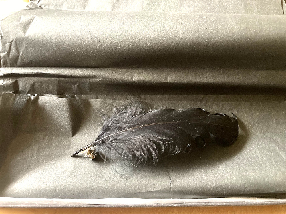 Ann Demeulemeester Black Feather pin with box