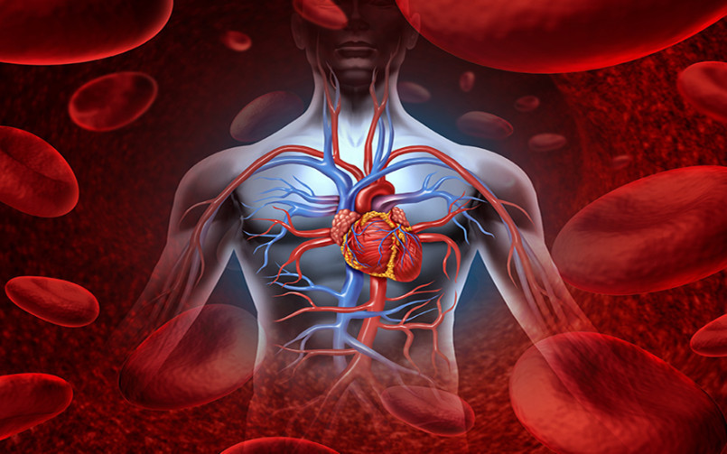 Immune support - CHOLESTEROL RELIEF FORMULA - cholesterol garlic - 2B