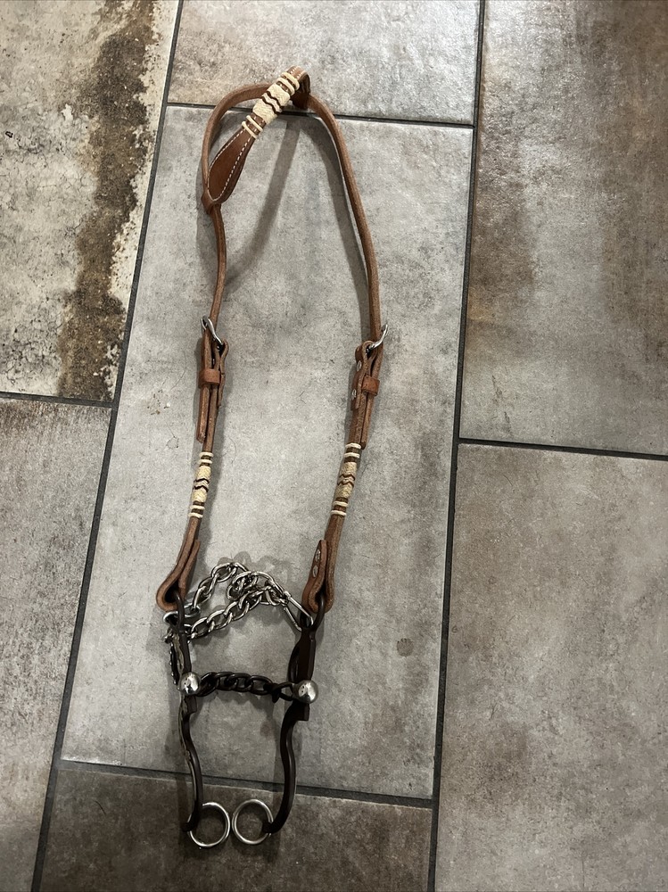 horse bits bridles