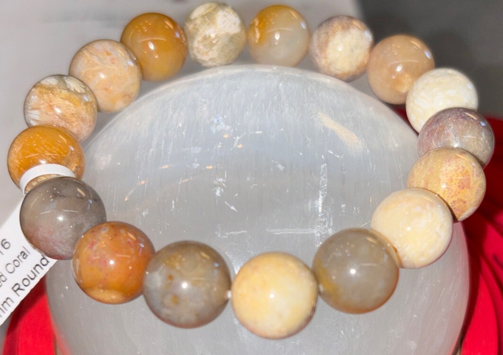 Fossilized Coral Bracelet 12 mm