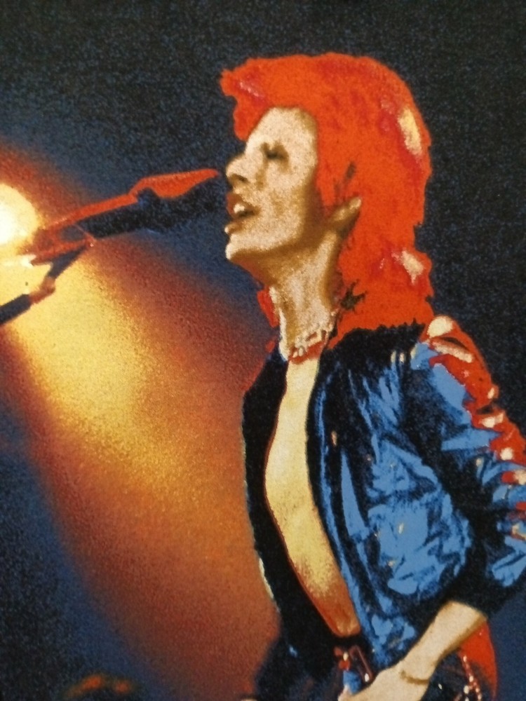 David Bowie Tshirt Size S