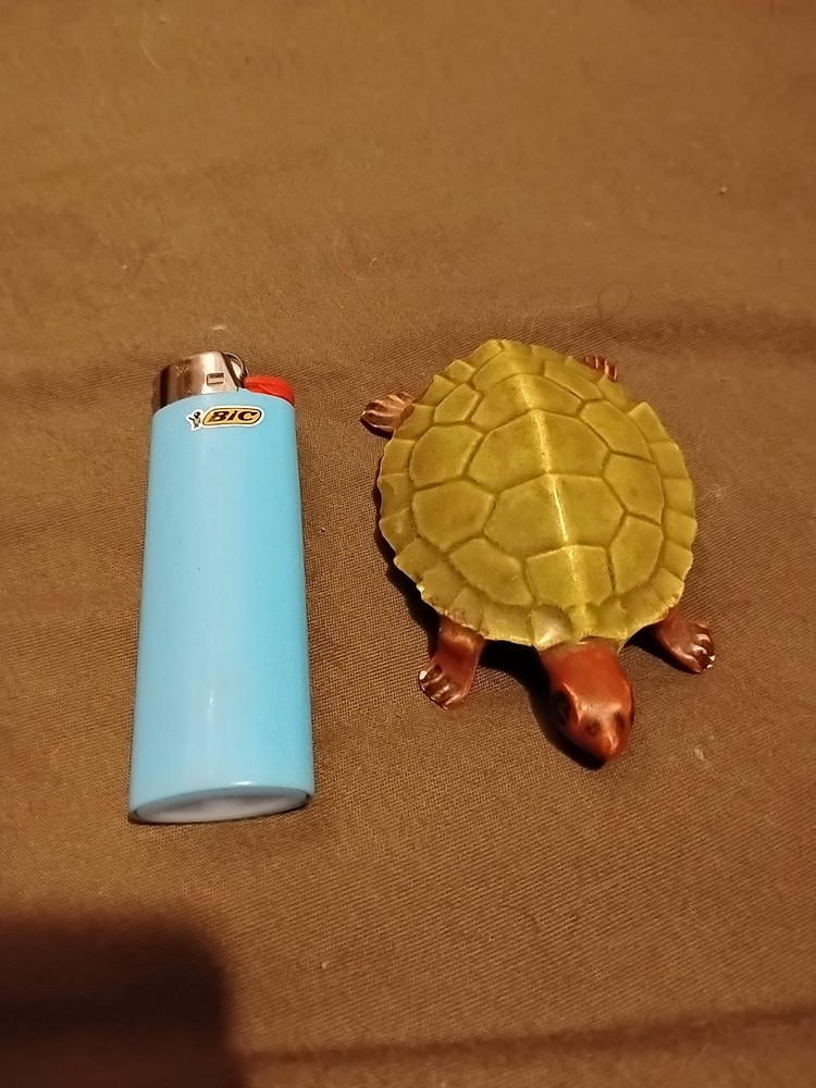 Anatomically Correct Male Ceramic Turtle Figurine
