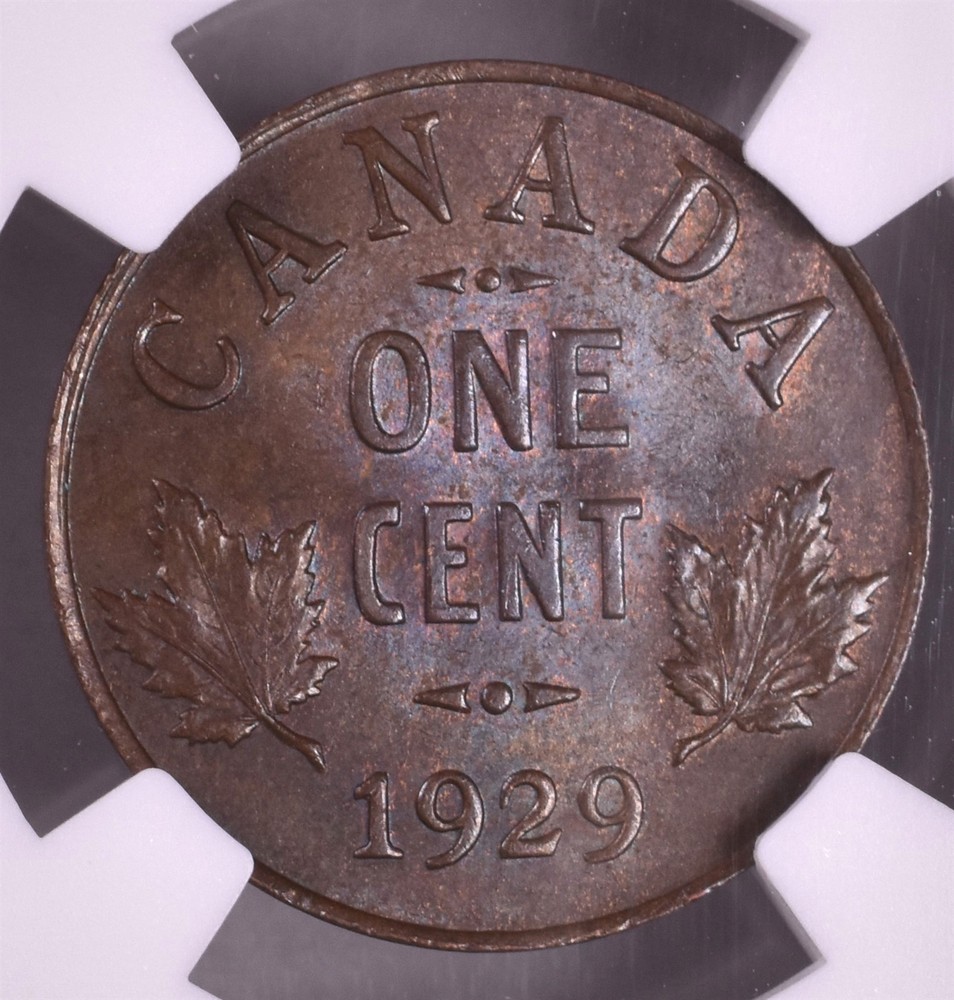 1929 Canada One Cent - NGC MS64 BN