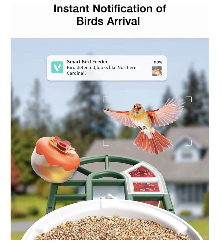 HARYMOR Bird Feeder with Camera Solar Powered-2K Live Feed