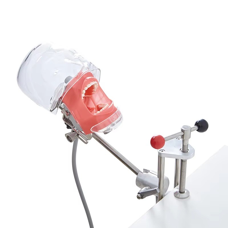 Dental Phantom Mannequin Head Simulator with Typodont Teeth Model for Training