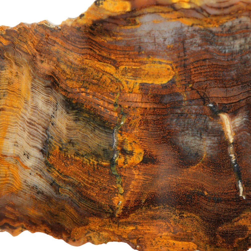 Mystery Petrified Wood Slab - Hematite Herringbone Pattern