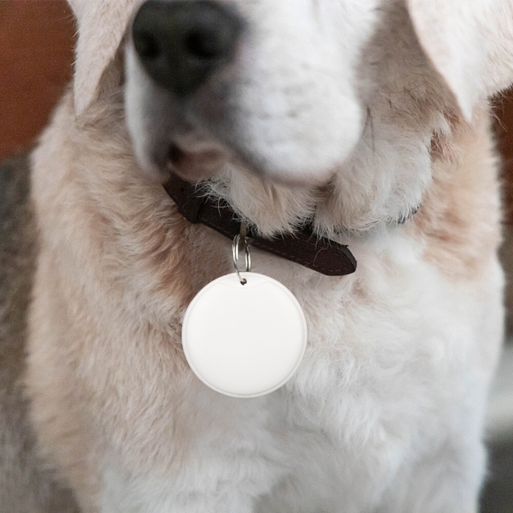 gps tracker collar for dogs
