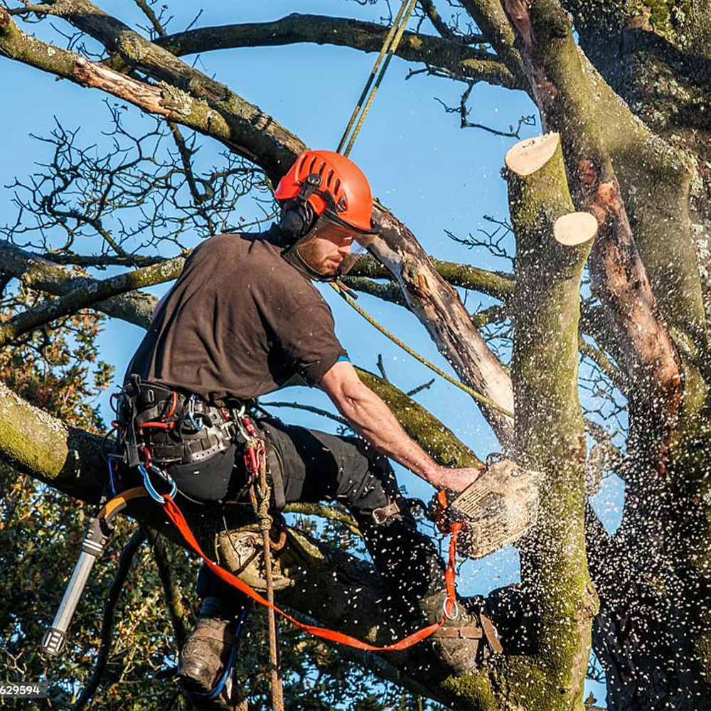 Tree Climbing Gear, Tree Climbing Spikes, Tree Climbing Gear with Adjustable Cli