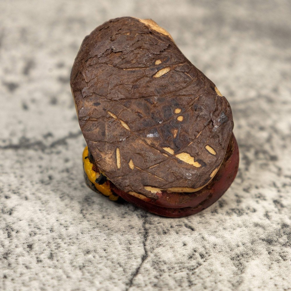 Double Turtle Tortoise Tagua Carving