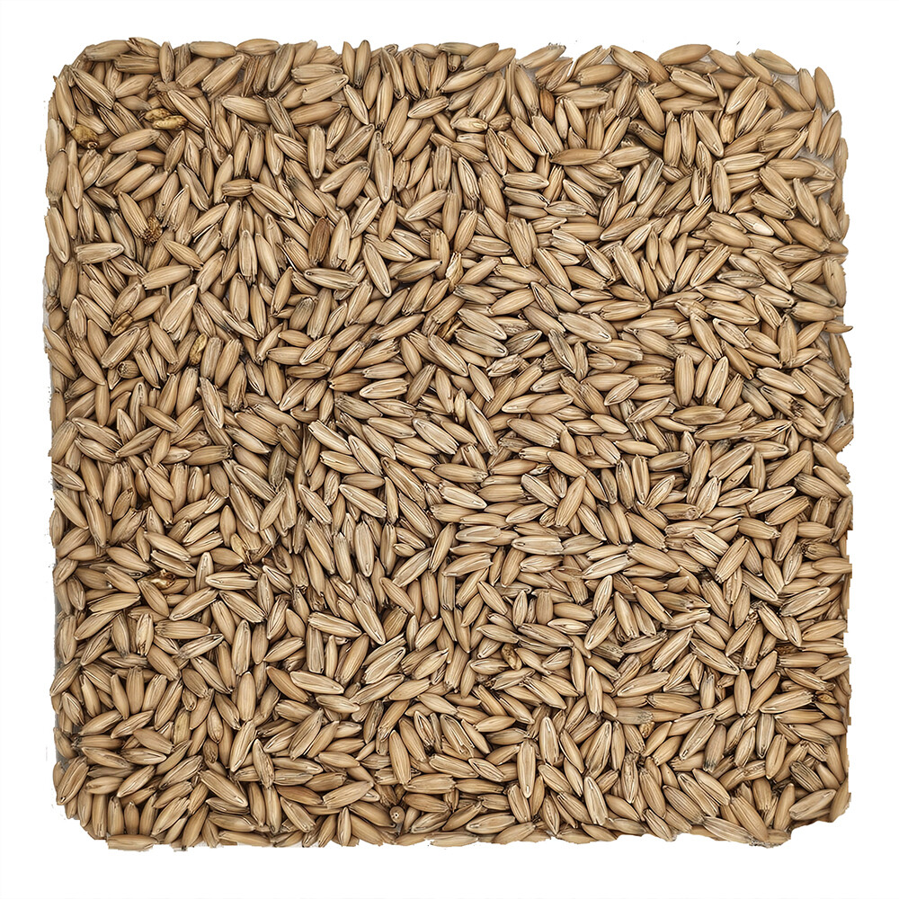 Home Brew Ohio Malted Oats Grain 5lb