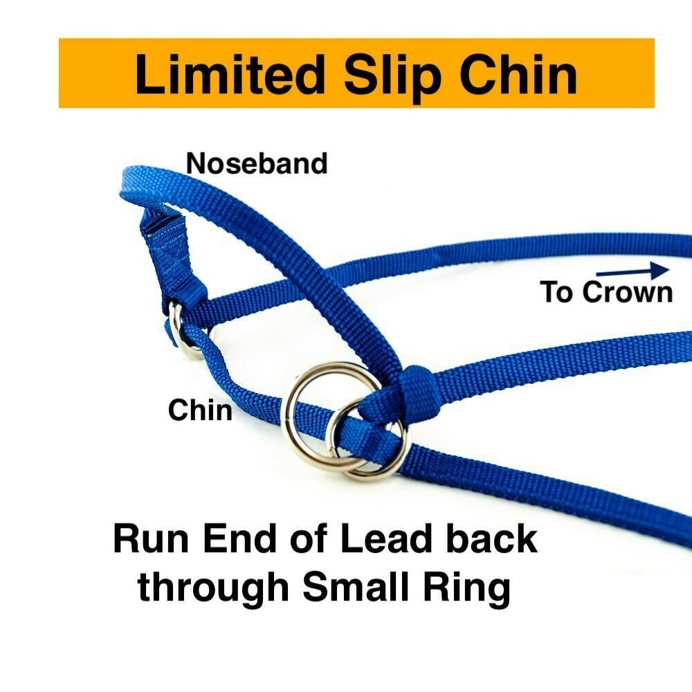 Halter All EXTRA SMALL Sheep, Goat, Sm Calf Endless Adjustable PATTERN USA