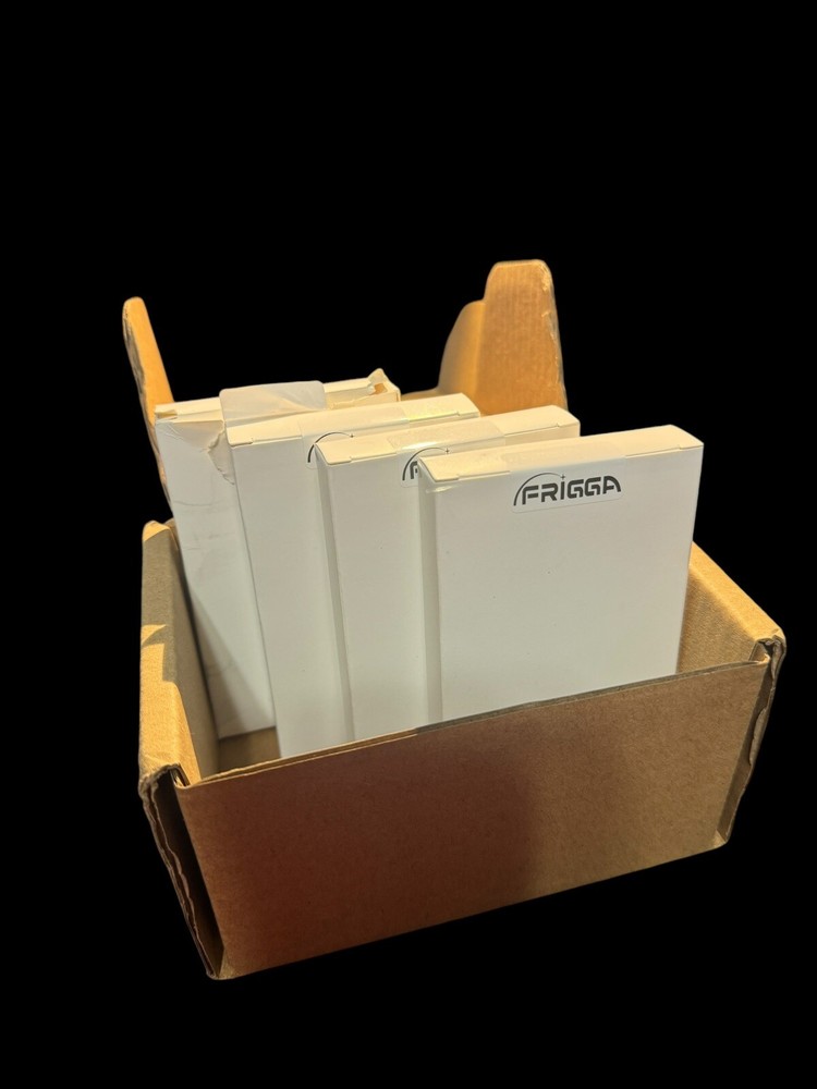 Frigga 4 PK Single Use Temperature Data Logger LCD Digital Temperature Recorder